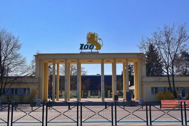 גן החיות של ורוצלב (ZOO Wrocław) - כרטיסים כולל הסעה לגן חיות credit to getyourguide.com