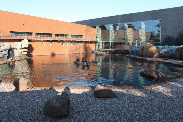 גן החיות של ורוצלב (ZOO Wrocław) - כרטיסים כולל הסעה לגן חיות credit to getyourguide.com