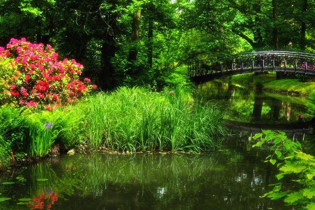 פארק Szczytnicki Park