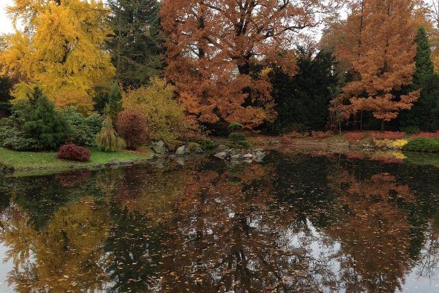 הגן היפני בורוצלב - Ogród Japoński