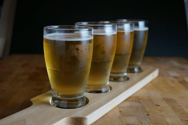 🐕 Pivovar Złoty Pies