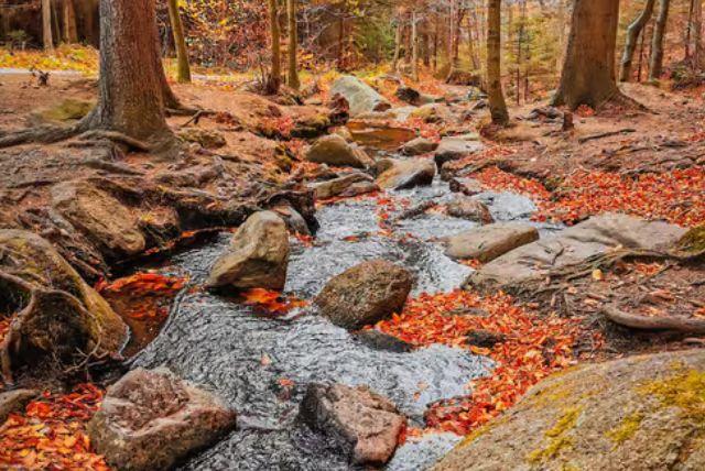 טיול מורוצלב להרי רוּדָאוִוי יָנוֹבִיצְקִיֶה - ההרים הפולנים credit to getyourguide.com