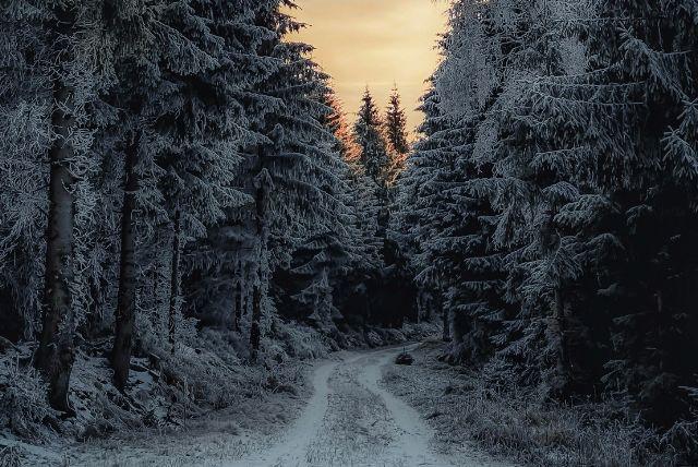 מחוז שלזיה תחתית בפולין - כל מה שחשוב לדעת על Province of Lower Silesia