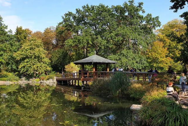 Pergola in Wrocław - פרגולה בתוך פארק שצ'יטניצקי בוורוצלב credit to getyourguide.com